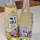 막걸리 추천 강원도 양구 지역 막걸리_대낮 곰주망태 내돈내산후기