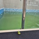 31140-9-25-13 | 경주 펜션 : 경주 혼빌리지 풀빌라 E302호 미온수 개별야외수영장 내돈내산후기(25. 9. 13.)