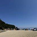 한섬해변 | 강원도 스노클링 후기 한섬해변, 한섬해수욕장 물고기 프리다이빙