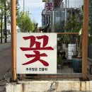 전북화원 | [전주꽃집] 전주 인후동 꽃집 : 하늘꽃화원 꽃다발 후기