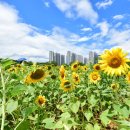 단원구청 화장실 이미지