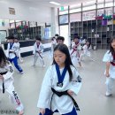 다원태권도장 이미지