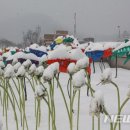 산천어마을 이미지