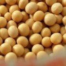 열매푸드 이미지