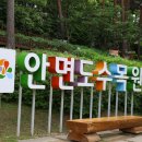 대천해수욕장 밤바다 폭죽놀이 / 연휴 여행 후기 &amp; 안면도 수목원까지 당일 코스 🏖
