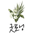 (주)씨아인 네이버블로그