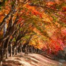 갓바위지구 광장 이미지