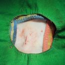 실이 그루밍 이미지