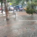 염치약국 이미지