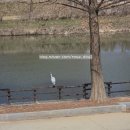 담양읍사무소 | 2026 맛따라 데식따라 담양 광주 편...🍃