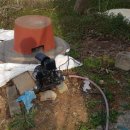 신기축사 이미지