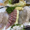 맛집] 자연산 모듬회 맛집 Best5 | 동쪽바다세꼬시|문어랑새우횟집|하조대횟집|잉꼬부부횟집|다래횟집 후기