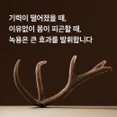 경희무교로한의원 이미지