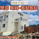 용고로 민박 | 📣22년 6월 신축‼️제주도독채펜션(애견동반 추가요금없음)