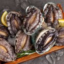 완도수산 | 활전복, 이 가격에 이 신선함 실화? 비비수산 완도 활전복 1kg 솔직 후기