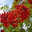 날마다행복부동산공인중개사사무소 이미지