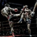 광장복싱다이어트 이미지