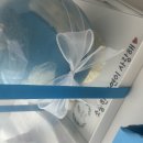 피자알볼로영통점 | [아이 생일 파티 준비] 무인키즈 카페 대여부터 케이크, 구디백까지 총 정리 및 솔직 후기