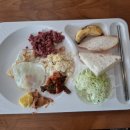 개미작은도서관 | (세부 CIA 어학연수 망쳐버린 후기) 5주 차 기록