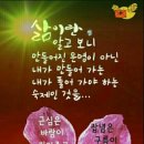 양진로 이미지