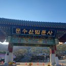 용인 원삼 법륜사_241124 이미지