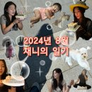 2024년 8월 채니의 일기