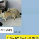 개구리PC방 이미지