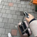 상궁김밥내시김밥 | [제주] 민지랑 같이 가을 바짓가랑이 붙잡기