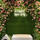 스마트 정형외과 신경외과 동물병원 이미지