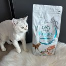 샤이니덴탈 이미지