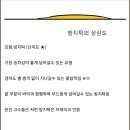 난이도별 과속방지턱 종류 이미지