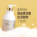 리드프레쉬