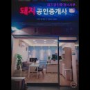 금돼지공인중개사사무소 | [건대 월세] 돼지공인중개사사무소 구의역 인근 최고의 중개업체