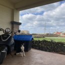 집 머무는 이미지