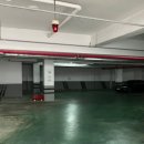 읍천리382 인동진평점 이미지