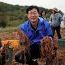 화성시장 이미지