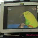 마린휘트니스클럽 이미지