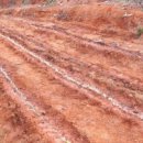 남화농장 이미지