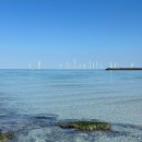 카페쉼표 | 제주시 카페 추천 │ 제주 협재 오션뷰 카페 쉼표 후기