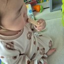 현미농장 | 질마재 농장 스틱 떡뻥 내돈내산 후기 | 아기 떡뻥 간식 추천