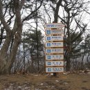 국철농장 이미지