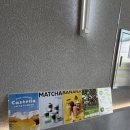 시흥대로1L | 구디카페추천 스택빈 냉동과일 아닌 수박주스 단백질음료 와플 맛집 식사도 가능