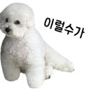 성민양꼬치 이미지