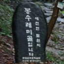 만인산 | 🧇 만인산 &#39;봉이호떡&#39; 후기｜무료 주차, 반려견 산책, 대전천 발원지까지반려견과 함께 걷기 좋은 만인산...