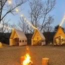 도안면 | 충청북도 증평군 도안면 근처에 있는 선택한 5개의 맛집 정보를 확인하세요.