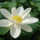 축복농장 이미지