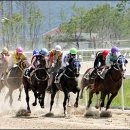 우리공인중개사 이미지