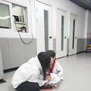 명성태권도장 이미지