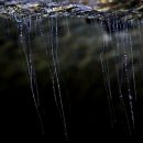 말무리염소농장 이미지