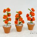 아라크네스